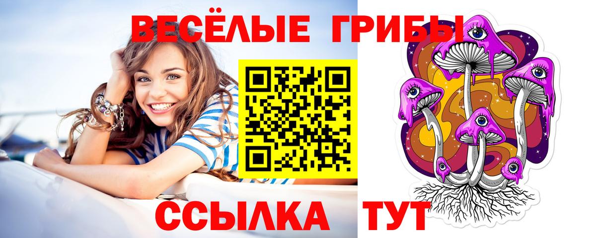 Уссурийск  Галлюциногенные грибы Cubensis  Вход с VPN  Псилоцибиновые грибы мухоморы 